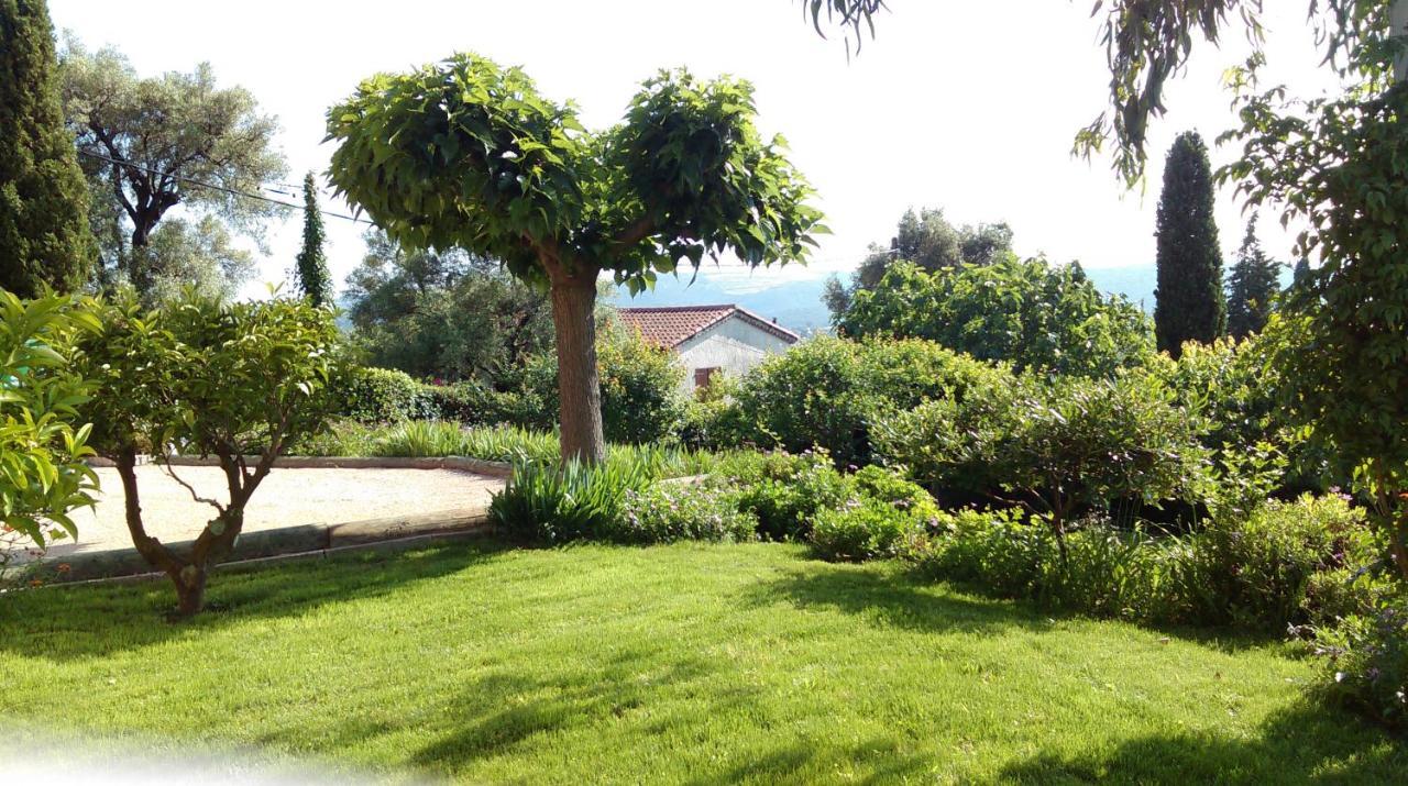 Les Collines De St Paul Bed & Breakfast Saint-Paul-de-Vence Luaran gambar